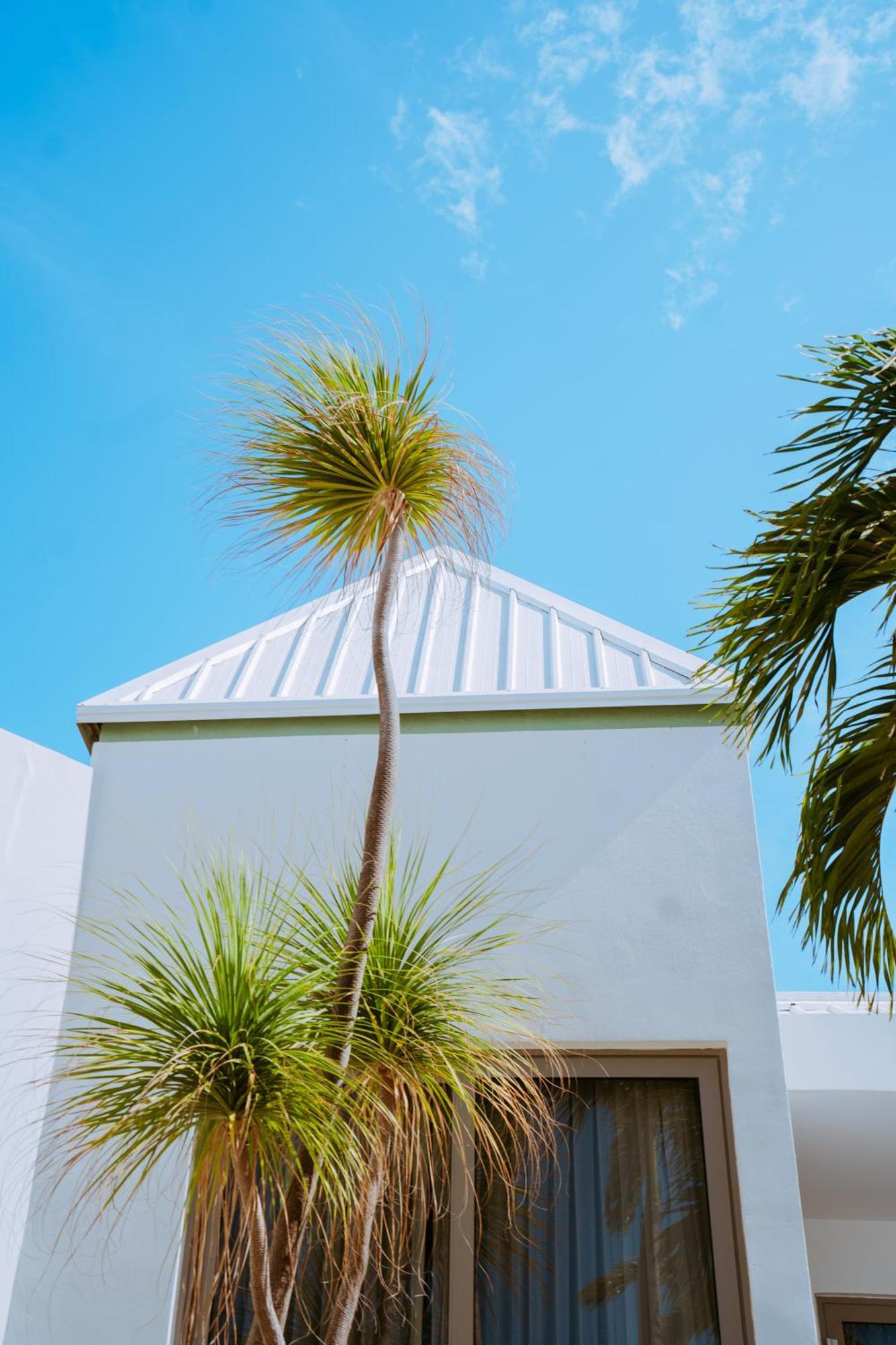 The Mill Resort And Suites Palm Beach Bagian luar foto
