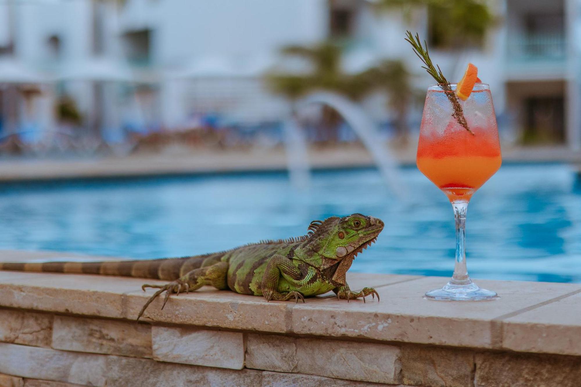 The Mill Resort And Suites Palm Beach Bagian luar foto